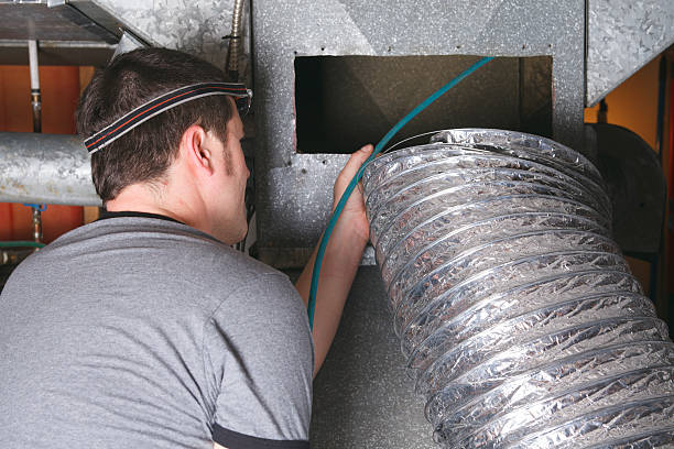 Best Dryer Vent Cleaning Services  in Safety Harbor, FL